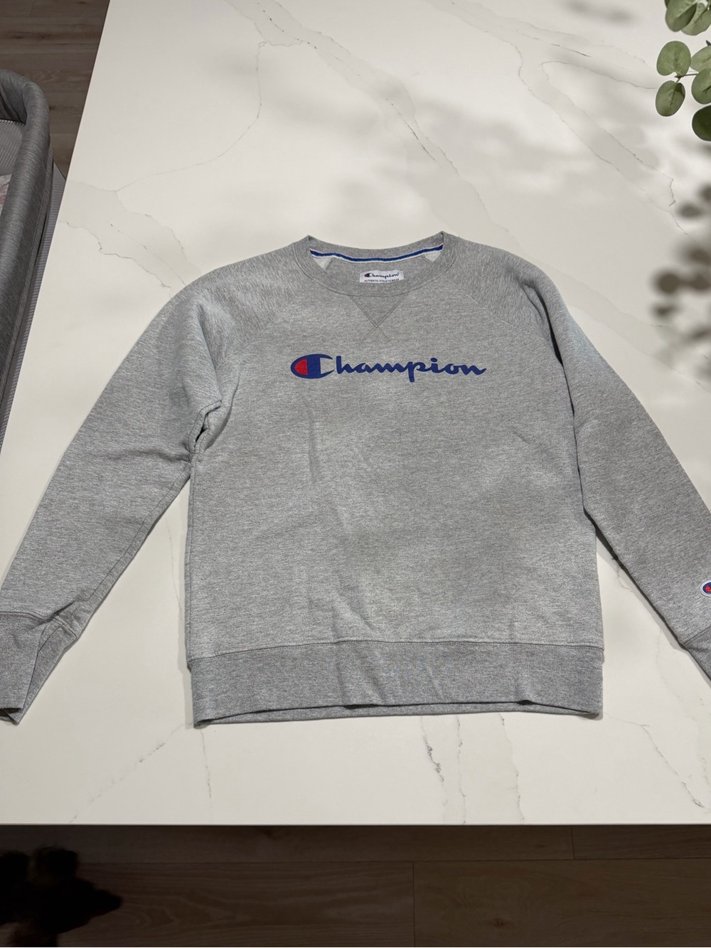 Champion Gray Crewneck Sweatshirt